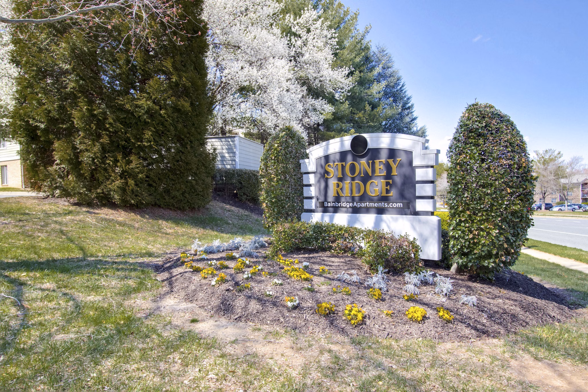 Avana Stoney Ridge: Modern signage at luxury apartments in Richmond