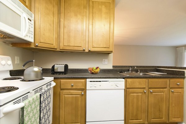 Modern kitchen with stainless steel appliances at Avana Stoney Ridge Apartments, featuring spacious design and contemporary finishes