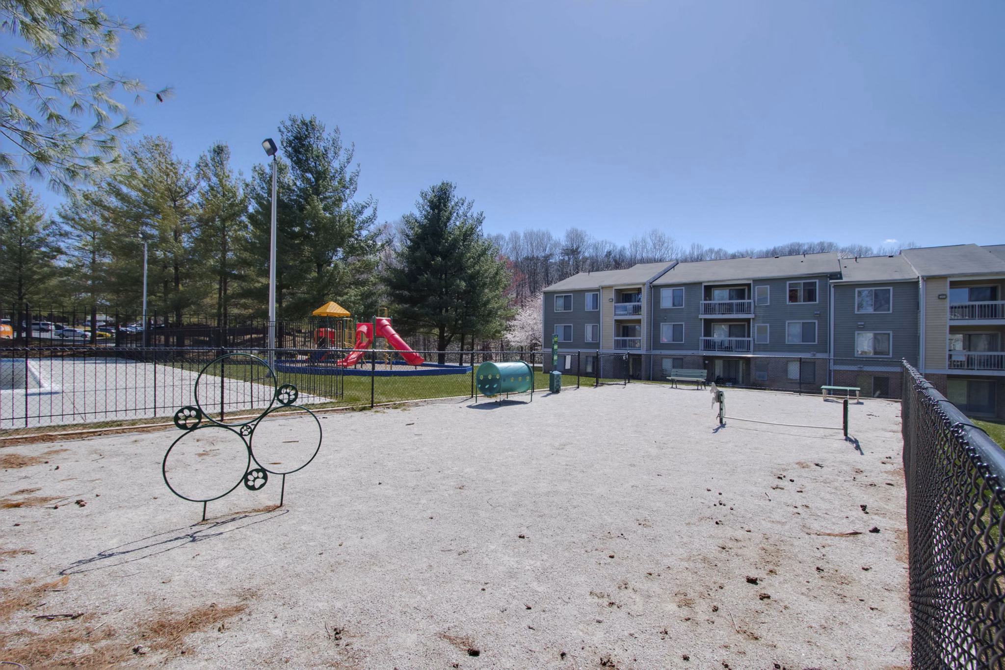 Spacious dog park for residents at Avana Stoney Ridge Apartments featuring agility equipment and open play areas