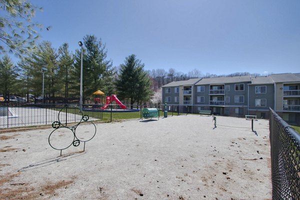 Spacious dog park for residents at Avana Stoney Ridge Apartments featuring agility equipment and open play areas