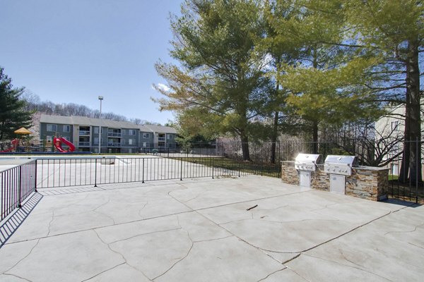 grill area at Avana Stoney Ridge Apartments