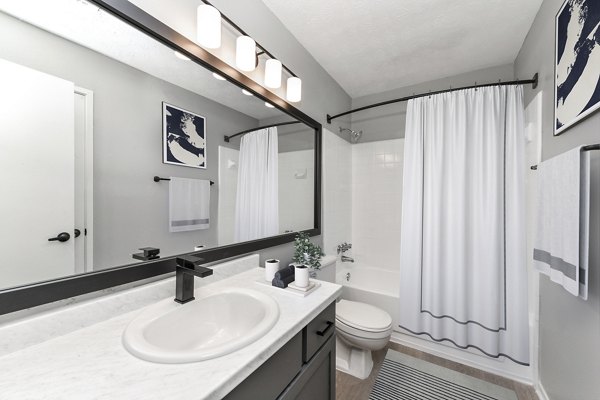 Luxury bathroom featuring modern fixtures at Avana Chase Apartments