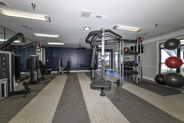 State-of-the-art fitness center with modern exercise equipment at Avana Court Apartments