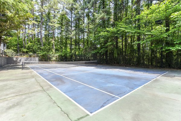 Outdoor sport court at Avana Court Apartments featuring basketball and tennis facilities