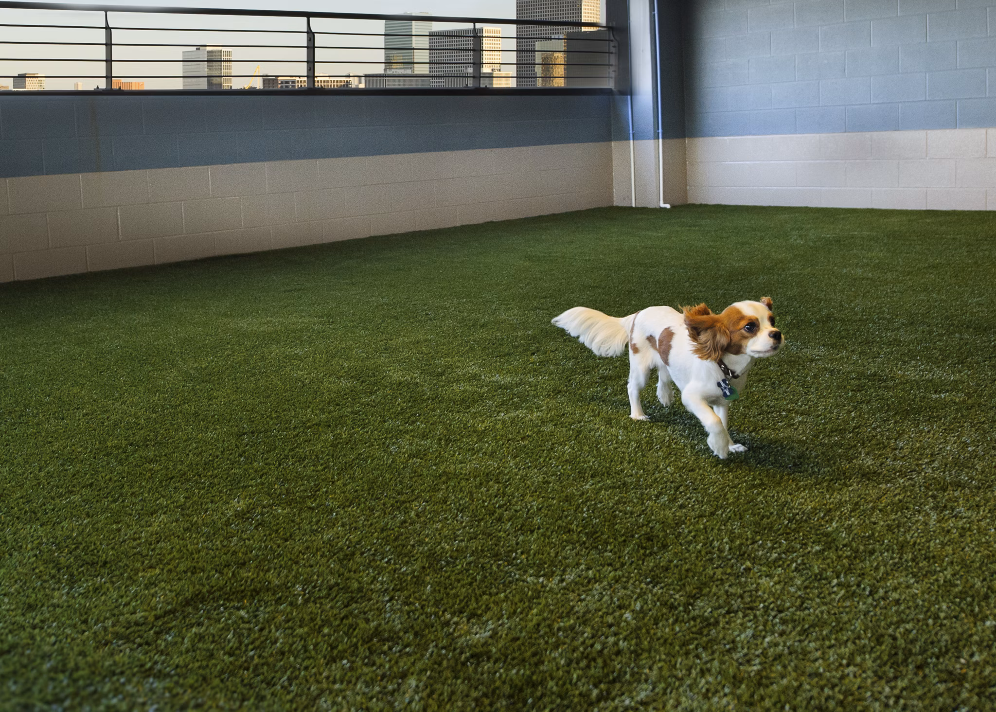Dog-friendly park area at 2929 Weslayan Apartments featuring play equipment and seating for residents and pets