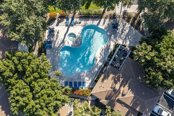 Morada Grande Apartments: Sunlit outdoor pool with lush landscaping for relaxation