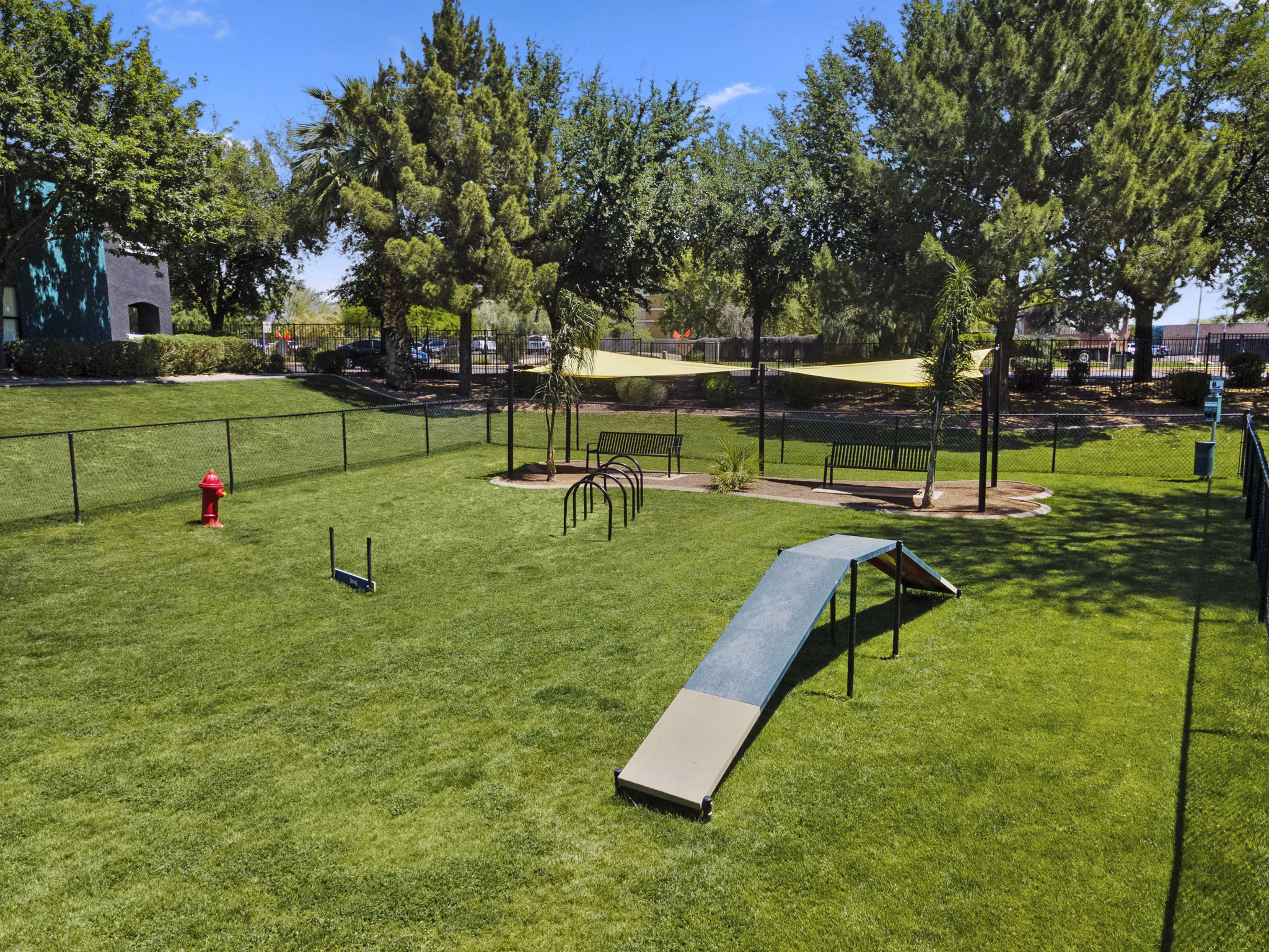 Dog park surrounded by lush greenery at Morada Grande Apartments, ideal for pet-friendly living and community engagement