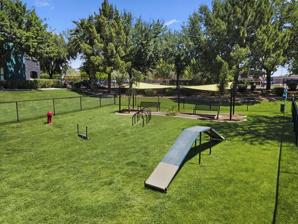 Dog park surrounded by lush greenery at Morada Grande Apartments, ideal for pet-friendly living and community engagement