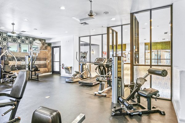 State-of-the-art fitness center at The Urban Apartments with modern equipment for luxury living