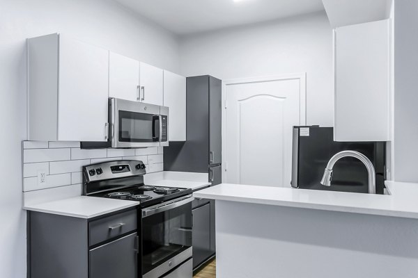 Modern kitchen featuring stainless steel appliances and granite countertops in The Urban Apartments