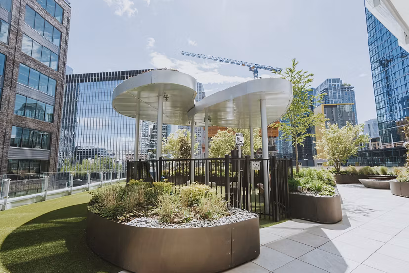 Dog park at REN Apartments featuring agility equipment and open play areas for pets