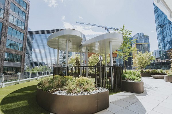 Dog park at REN Apartments featuring agility equipment and open play areas for pets