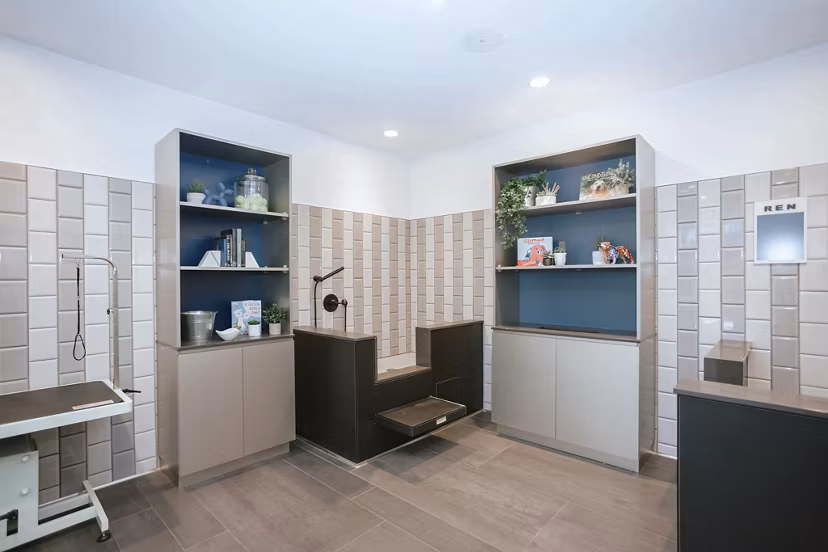 Dog wash station at REN Apartments: Convenient pet-friendly amenity featuring elevated tubs and spray hoses