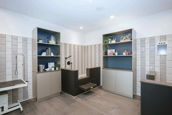 Dog wash station at REN Apartments: Convenient pet-friendly amenity featuring elevated tubs and spray hoses
