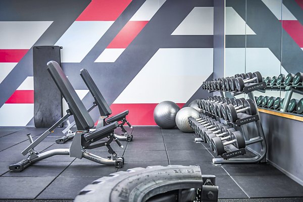 Fitness center featuring modern equipment at The Accolade Apartments