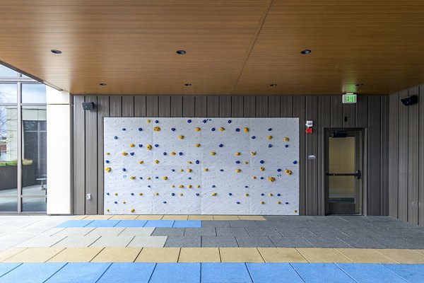 fitness center/climbing wall at The Accolade Apartments