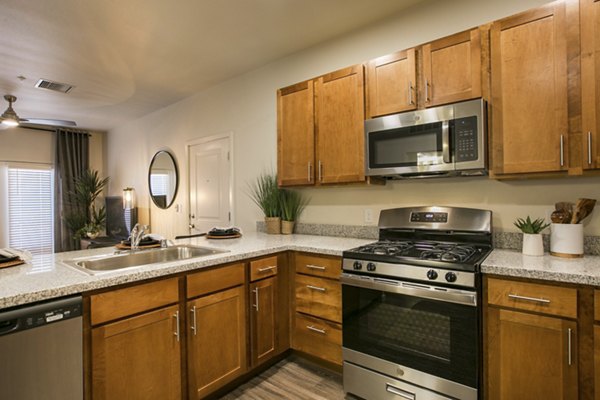 Modern kitchen with stainless steel appliances at South Meadows Apartments