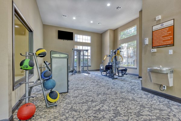 Modern fitness center with state-of-the-art equipment at Preston Peak Apartments