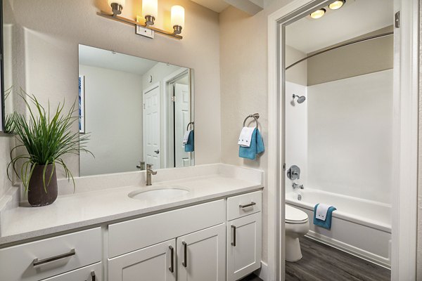 Modern bathroom with sleek fixtures at Stone Arbor Apartments, offering luxury living spaces in a serene environment