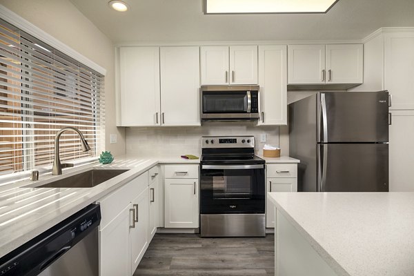 Modern kitchen with stainless steel appliances and marble countertops in Stone Arbor Apartments for luxury living