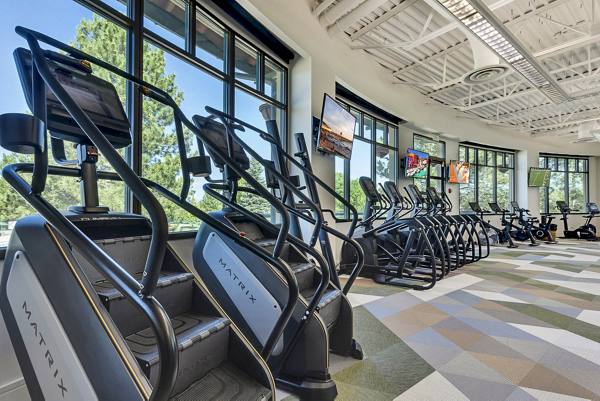 fitness center at Blue Ridge - Palomino Park Apartments