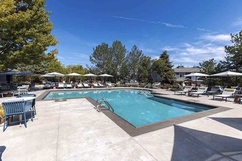 pool at Blue Ridge - Palomino Park Apartments 