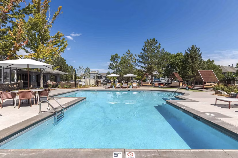 pool at Blue Ridge - Palomino Park Apartments 