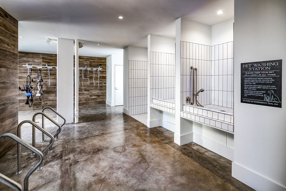 Dog wash station with modern facilities at Harlowe Apartments, a luxury Greystar community