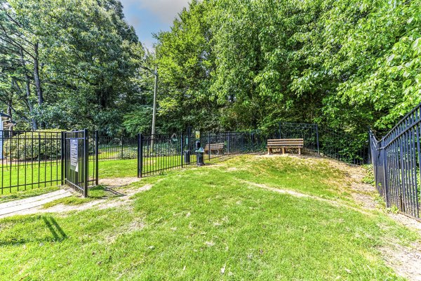 dog park at Avana Dunwoody Apartments