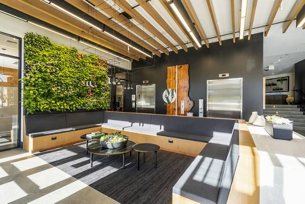 clubhouse/lobby at MV Apartments