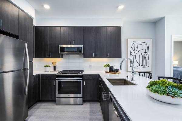 kitchen at MV Apartments