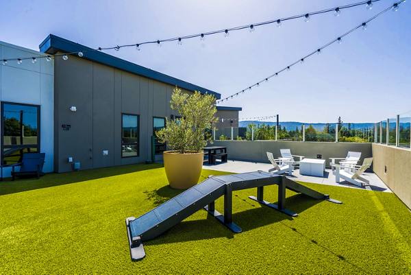 dog park at MV Apartments