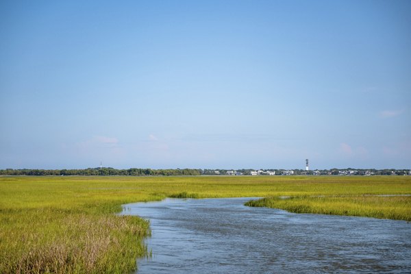 neighborhood at Atlantic Beach House Apartments
