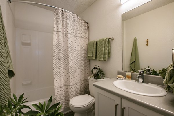 Aydan Apartments: Chic bathroom featuring modern fixtures and marble accents in luxury apartment by Greystar