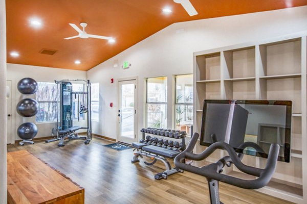 fitness center at Aydan Apartments