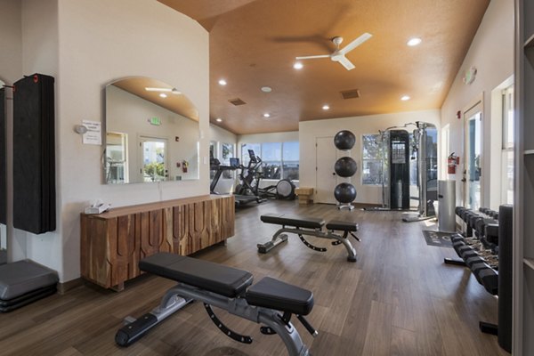 Modern fitness center with state-of-the-art equipment at Aydan Apartments