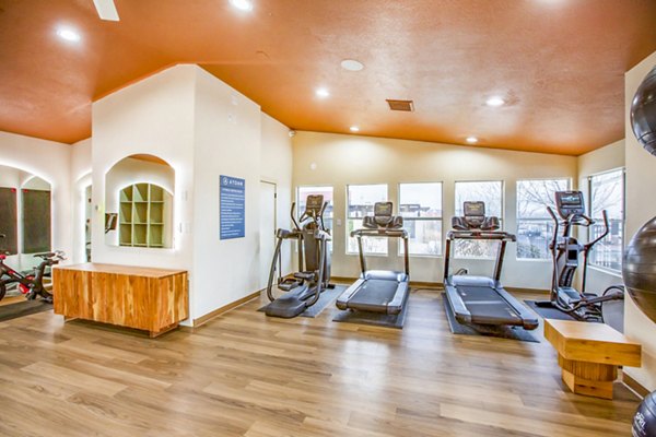 fitness center at Aydan Apartments