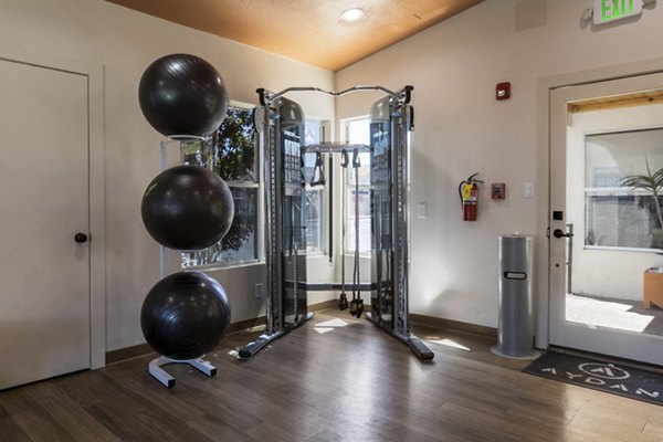 State-of-the-art fitness center at Aydan Apartments offering modern equipment and spacious workout areas for residents
