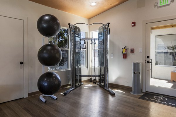 fitness center at Aydan Apartments