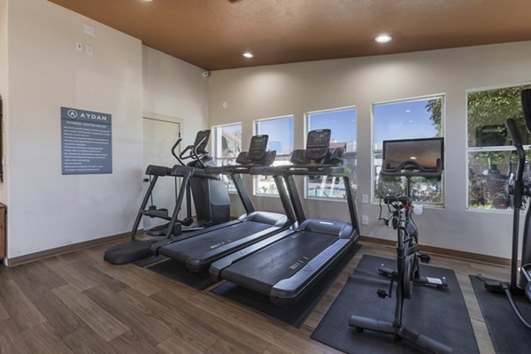 Fitness center with state-of-the-art gym equipment at Aydan Apartments