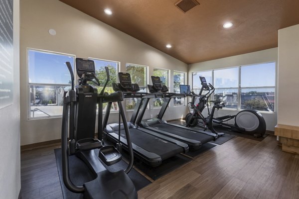 Modern fitness center with state-of-the-art equipment at Aydan Apartments, perfect for an active lifestyle