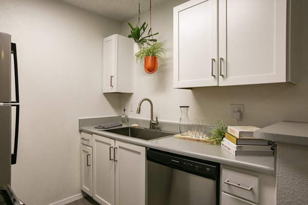 Modern kitchen featuring sleek countertops and stainless steel appliances in Aydan Apartments, a luxury living community