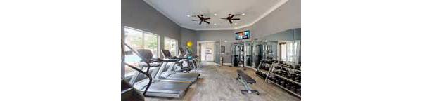 fitness center at Oasis at Piney Point Apartments