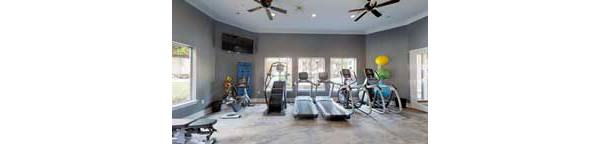 fitness center at Oasis at Piney Point Apartments