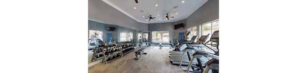 fitness center at Oasis at Piney Point Apartments