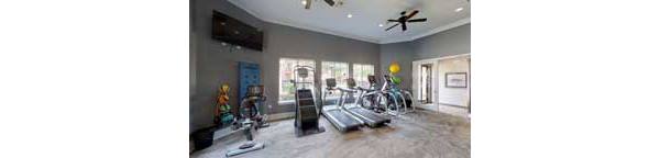 fitness center at Oasis at Piney Point Apartments