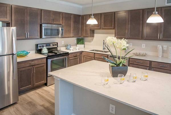 kitchen at Oasis at Piney Point Apartments
