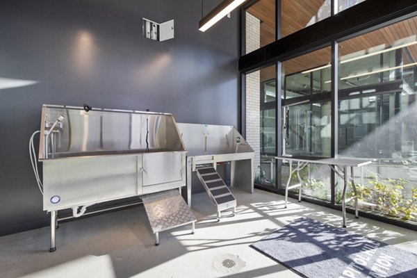 Dog wash station at Capitol Hill Station Apartments: Pet-friendly amenity featuring modern facilities and easy access for residents in this luxury community