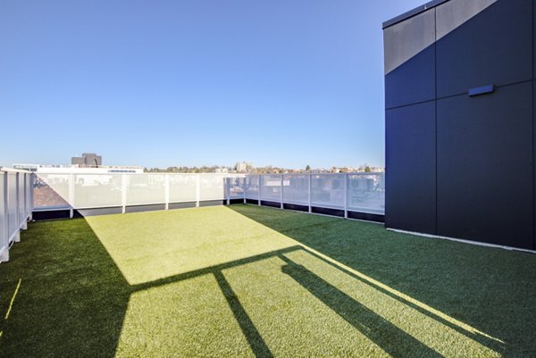 Off-leash dog park at Capitol Hill Station Apartments with well-maintained green spaces for pet-friendly playtime