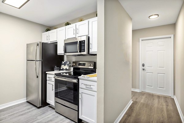 Modern kitchen featuring sleek countertops and stainless steel appliances at 403 West Apartments
